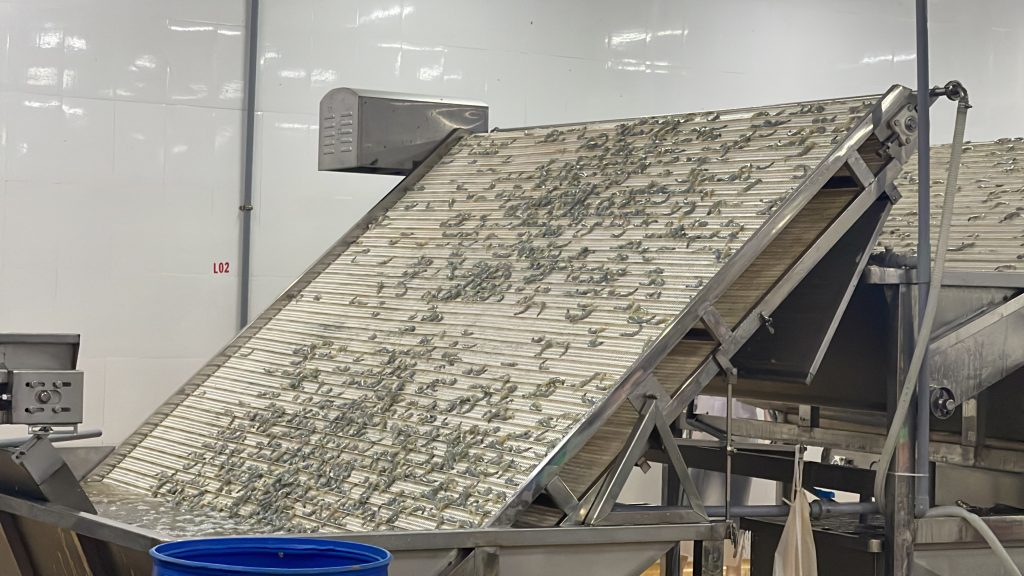 vietnam-black-tiger-shrimp-frozen