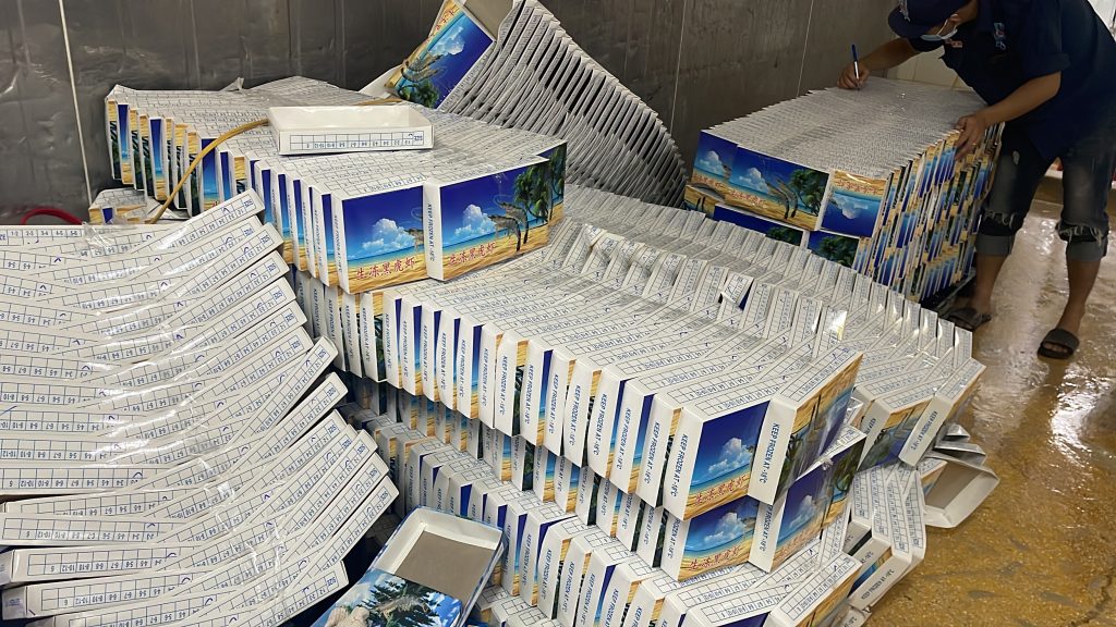 Fresh frozen white shrimp ready for export