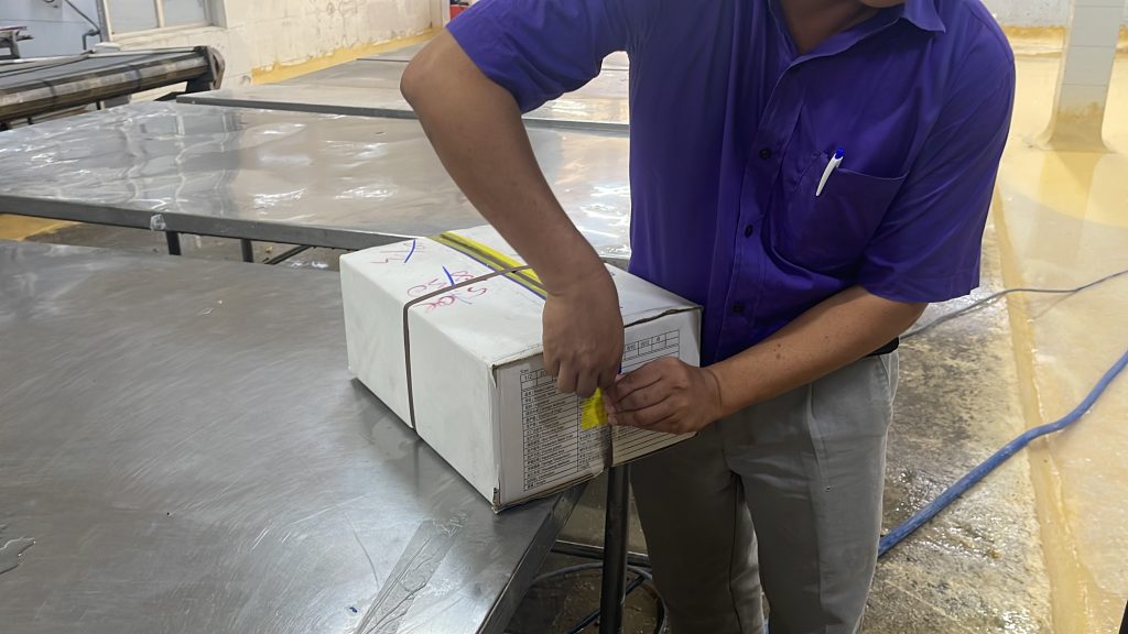 Frozen black tiger shrimp from Vietnam ready for export