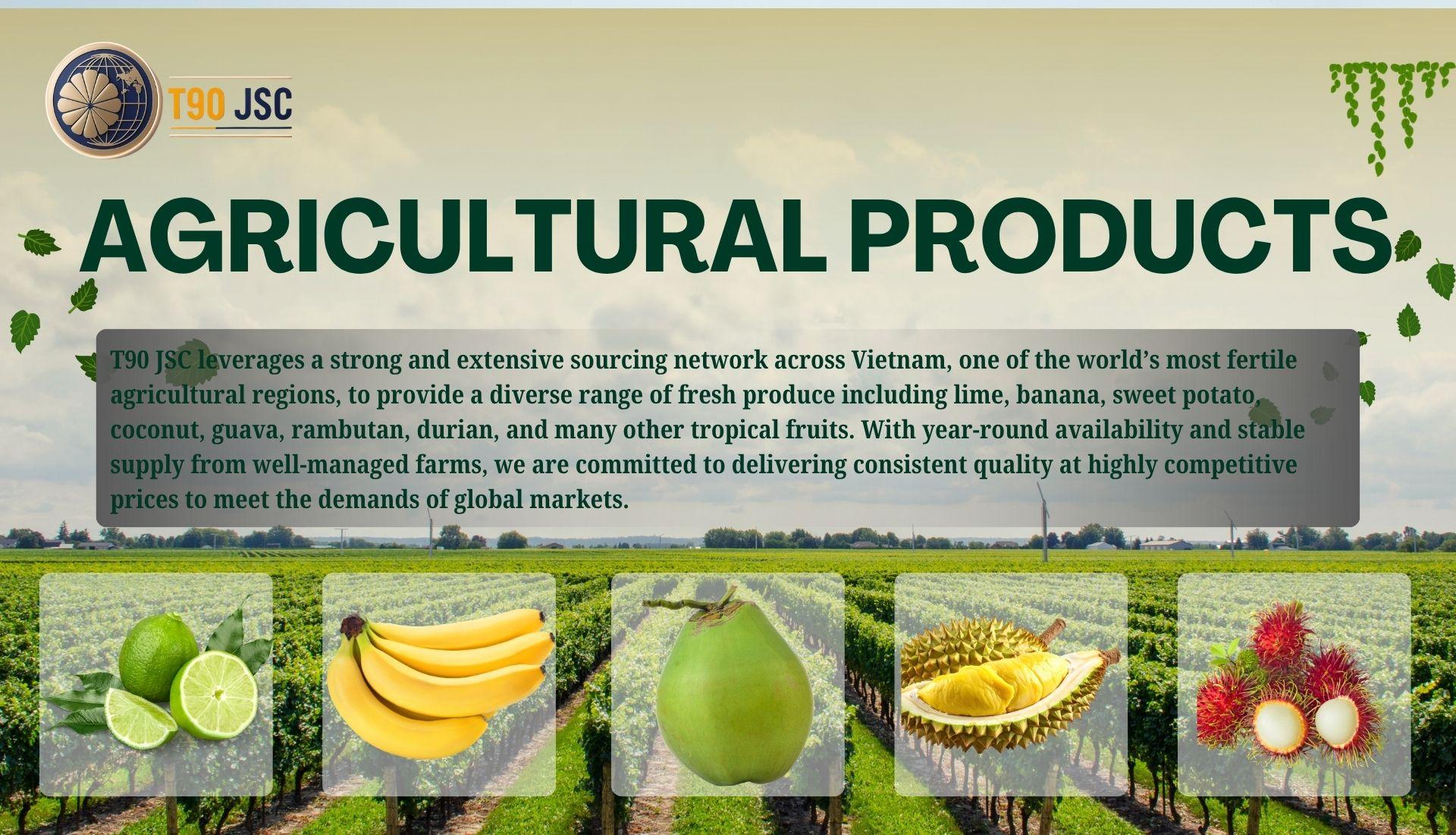 Vietnam Export Company