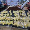 fresh green banana Vietnam export distributor tropical fruit supplier