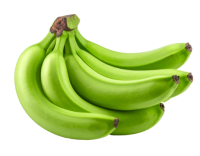 Vietnam green banana long shelf life export fresh tropical fruit