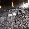 Hexagonal sawdust charcoal briquettes bulk stock Vietnam