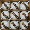 Vietnamese Fresh Coconut Supplier