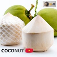 Vietnamese fresh coconut supplier from T90 JSC